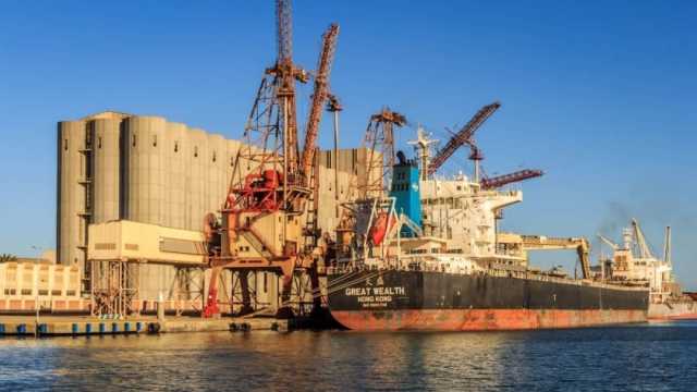ميناء دمياط: 215 ألف طن قمح رصيد صومعة الحبوب ومخازن القطاع الخاص