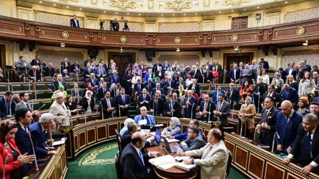 «عربية النواب»: ما زلنا نرفض التهجير القسري للشعب الفلسطيني من أرضه 