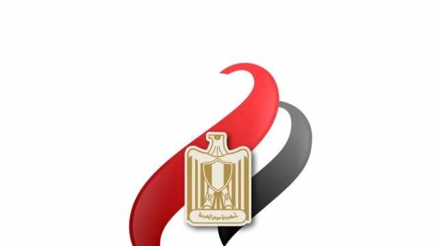 حزب مصر الحديثة: الانتخابات مثالية وكل التحية للمواطن المصري