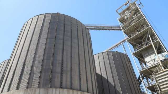 ارتفاع عمليات توريد محصول القمح في المنوفية إلى 109 آلاف طن