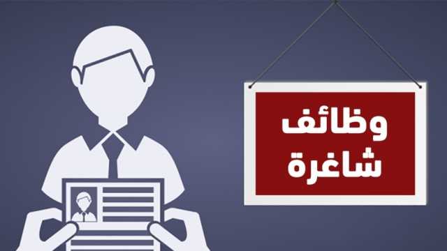 رابط التقديم على وظائف «الشباب والرياضة».. تطبق الحد الأدنى للأجور