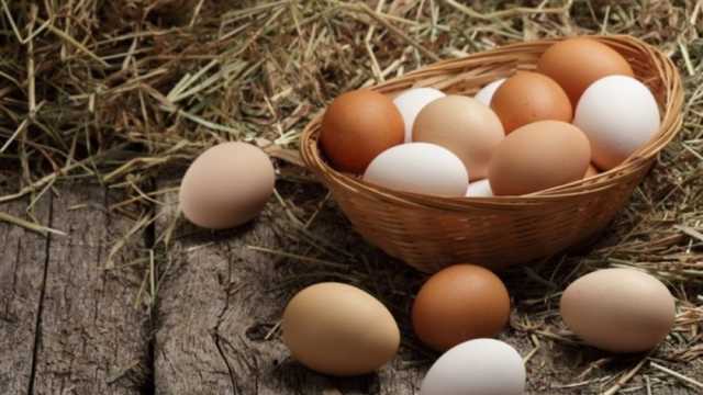 تراجع أسعار كرتونة البيض اليوم الأحد 12-11-2023 في المزرعة والمحلات