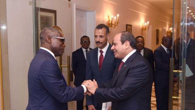 السيسي يستقبل نائب رئيس غينيا ويؤكد التزام مصر بمواصلة التعاون مع الأشقاء