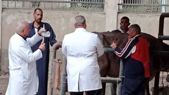 «بيطري الشرقية» تنظم قافلة طبية بالمجان في قرية «هنيا» 