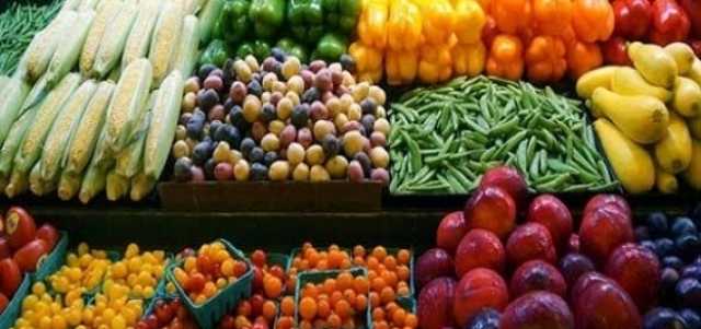 «الزراعة»: مصر تتربع على عرش صادرات البرتقال والفراولة المجمدة عالميا