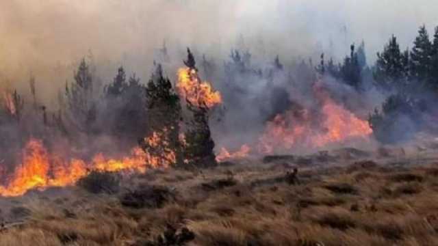 هيئة البث الإسرائيلية: إخماد حرائق اندلعت في صفد بسبب صواريخ حزب الله