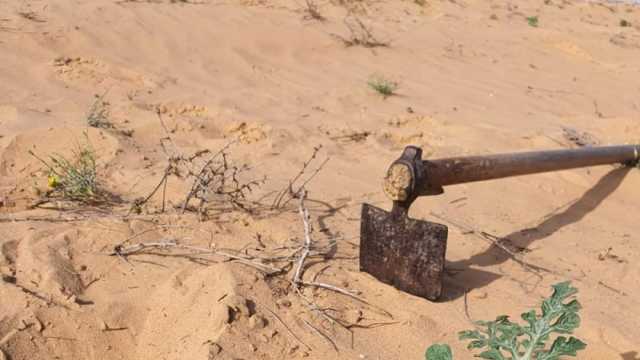 زراعة البطيخ في شمال سيناء باستخدام مياه الأمطار.. أرباح كبيرة بأقل مجهود