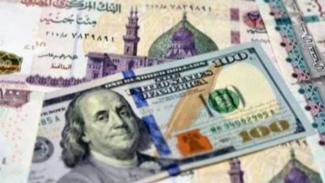 وكالات دولية تشيد بقرارات سعر الصرف المرن.. «يوفر سيولة كافية»