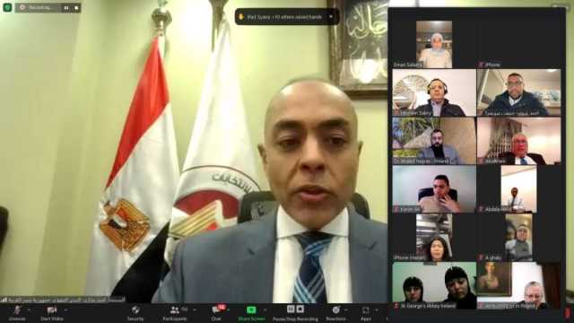 ممثل «الوطنية للانتخابات» يوضح ضوابط مشاركة المصريين بالخارج في الاقتراع
