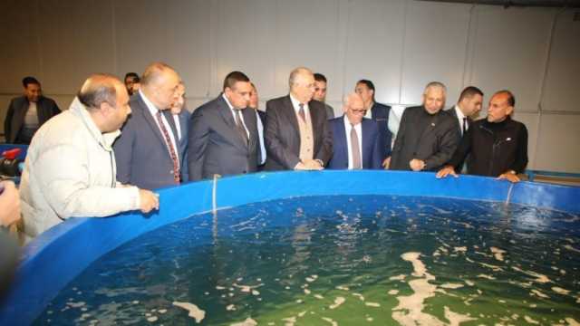 وزيرا الزراعة والتنمية المحلية ومحافظ بورسعيد يتفقدون مفارخ الأسماك