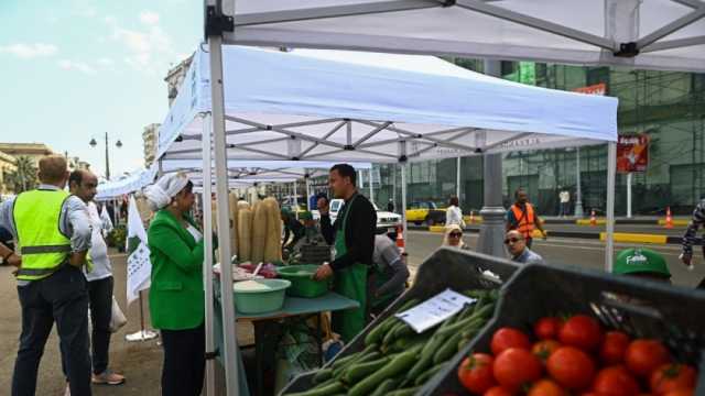 الغرفة التجارية تعلن تغيير موعد سوق المزارعين بالإسكندرية