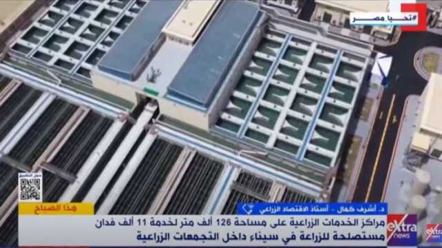 خبير اقتصادي: الدولة تبذل جهودا ضخمة لتحقيق تنمية زراعية شاملة في سيناء