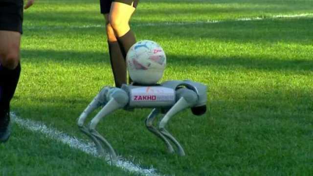 على شكل حيوان.. روبوت يسلم الكرة لحكم مباراة في الدوري العراقي