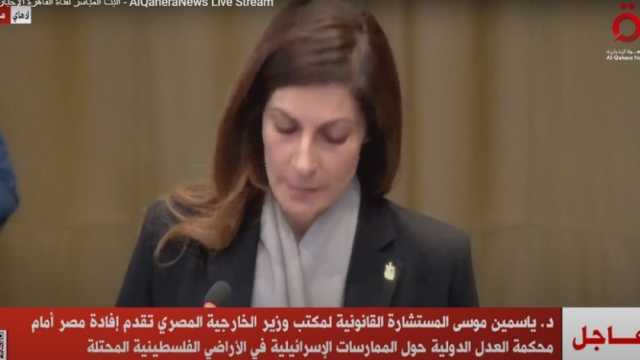 مصر أمام «العدل الدولية»: ممارسات إسرائيل تذهب بفكرة حل الدولتين إلى المجهول