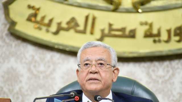 رئيس مجلس النواب: نرفض تصفية القضية الفلسطينية