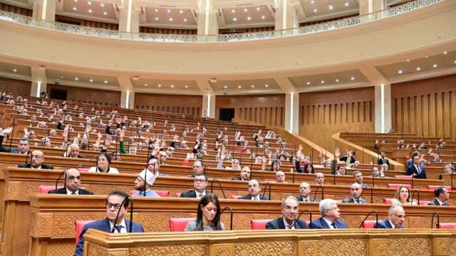 برلماني: رفع توصيات الحبس الاحتياطي إلى الرئيس خطوة جادة تستهدف الانتهاء من الملف