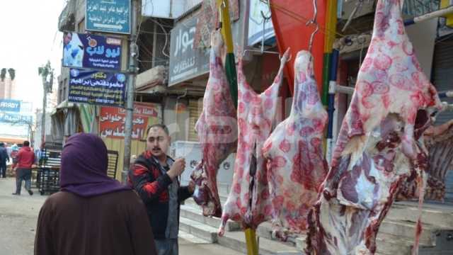 4 إجراءات من «بيطري القاهرة» للتأكد من سلامة السلع واللحوم بالأسواق