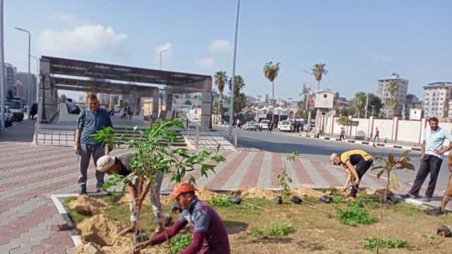 زراعة 200 شجرة في الحدائق للحفاظ على المظهر الحضاري بحي شرق المنصورة