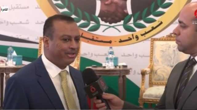 جعفر الصادق الميرغني: جهود مصرية لحل الأزمة السودانية ووقف الحرب