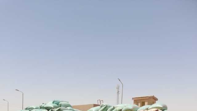 محافظ المنيا: توريد 12 ألف طن قمح إلى مراكز التجميع