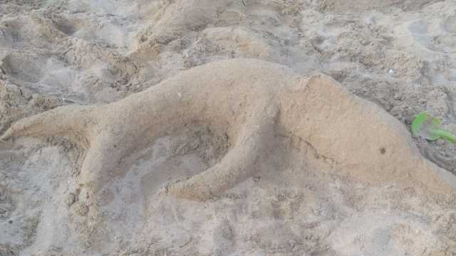 «عروسة بحر» على شاطئ الإسكندرية.. الدلافين تزين رمال «إسحاق حلمي»