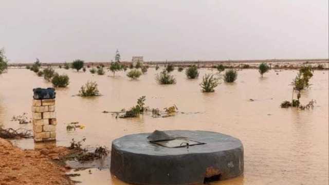 3 استعدادات من قبائل مطروح لتخزين مياه الأمطار في الآبار.. فرحة بموسم الخير