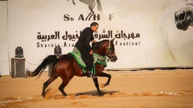 انطلاق مسابقات تراث أدب الخيل في مهرجان الشرقية للخيول العربية