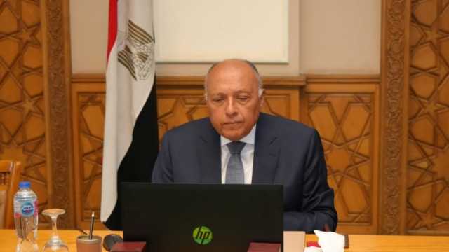 مباحثات موسعة لوزيري خارجية مصر وموريتانيا حول القضايا الإفريقية والعربية