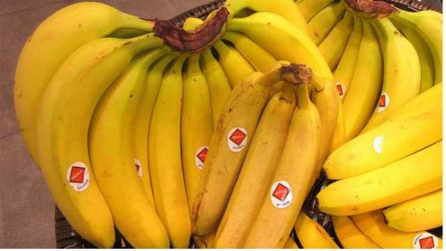 9 معلومات عن «حرب الموز» بين روسيا والإكوادور.. ما علاقة أوكرانيا؟
