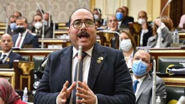 برلماني: المصريون أبهروا العالم بمشاركتهم في الانتخابات الرئاسية بتوقيت دقيق