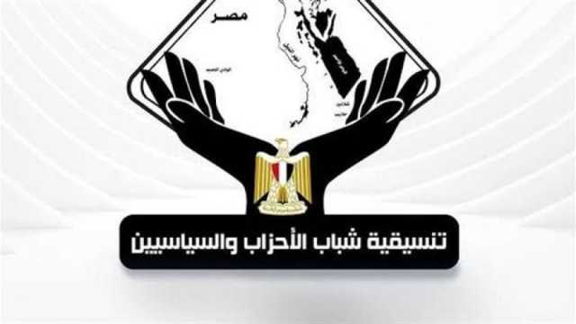 عضو التنسيقية عن مشاركة الجالية المصرية بالخارج في الانتخابات: «عرس ديمقراطي»