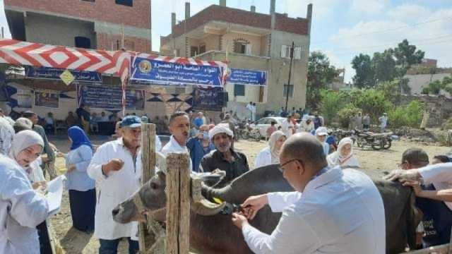 «بيطري الشرقية»: تحصين 254 رأس أغنام مجانا بديرب نجم