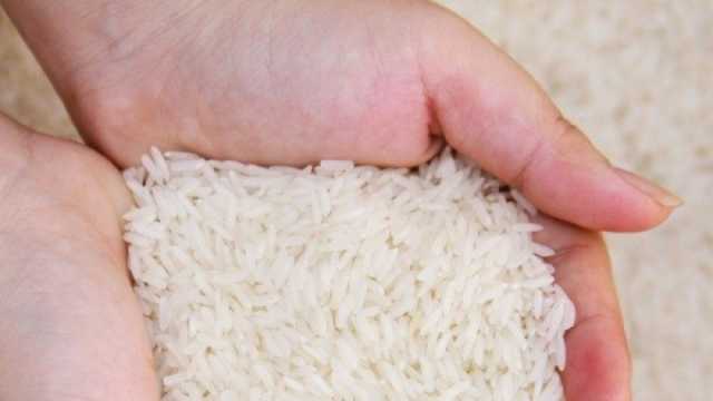 انخفاض أسعار الغذاء لأدنى مستوى عالميا.. والأرز يرتفع لرقم قياسي خلال 15 عاما