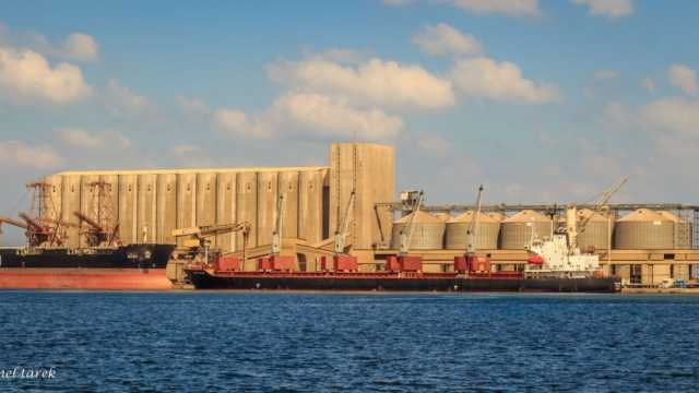ميناء دمياط يستقبل 35 سفينة و15 ألف طن بضائع عامة