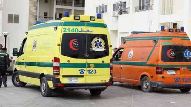 إصابة شخصين بسبب مشاجرة بطما في محافظة سوهاج