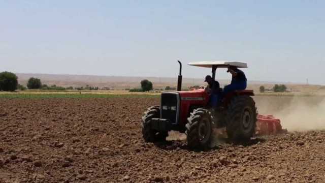 «الزراعة»: الرئيس السيسي تبنى توسيع الرقعة الخضراء لمواكبة الزيادة السكانية