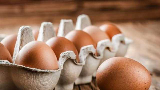 انخفاض أسعار البيض اليوم 21-4-2024 في الأسواق