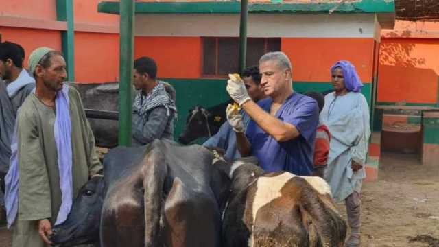 قوافل بيطرية مجانية بمركزي ملوي وديرمواس غدًا