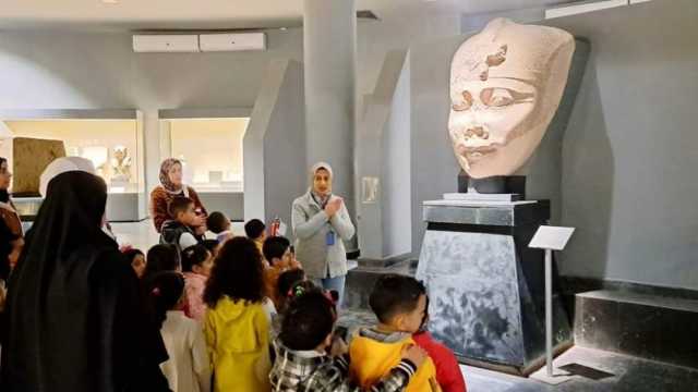 متحف كفر الشيخ يحتفل بيوم البيئة الوطني بورشة رسم وتلوين وجولة إرشادية