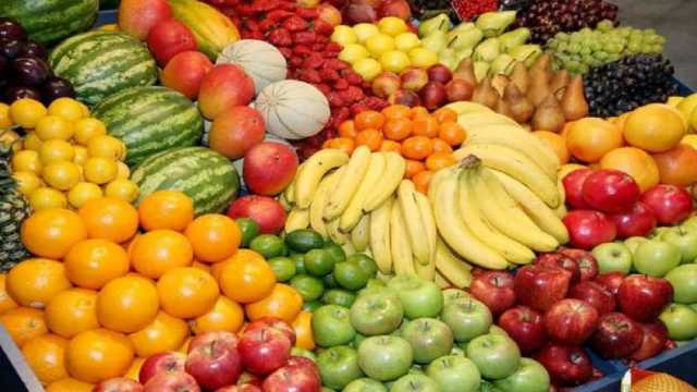 أسعار الفاكهة اليوم في سوق العبور.. 20 جنيها لكيلو المانجو