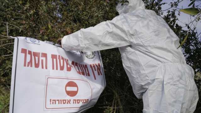 رصد سلالة جديدة من إنفلونزا الطيور في إسرائيل.. نوع شرس يسبب الوفاة