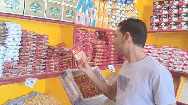 «سلامة الغذاء» تشن حملات مكثفة على 454 منشأة بـ12 محافظة لضمان جودة المنتجات