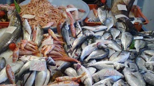 أسعار السمك في الأسواق اليوم الاثنين 13-9-2023
