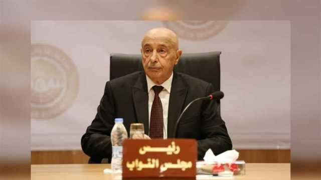 عقيلة صالح: الانتخابات الرئاسية الليبية يجب أن تكون بها حكومة محايدة