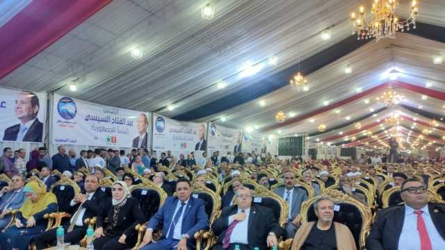 نائب «مستقبل وطن»: نقف صفا واحدا لدعم المرشح الرئاسي عبدالفتاح السيسي