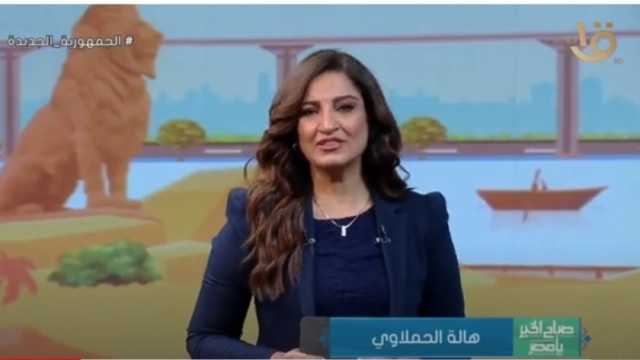 تفاصيل الحالة المرورية في الطرق.. كثافات على كورنيش النيل (فيديو)