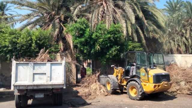 رفع 60 طن مخلفات زراعية من المقابر اليهودية بالإسكندرية
