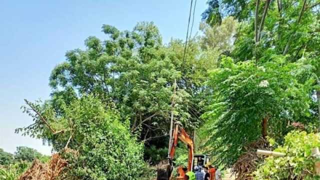 إنجازات 10 سنوات.. تنفيذ 246 مشروعا في الكهرباء والغاز الطبيعي بالمنوفية 