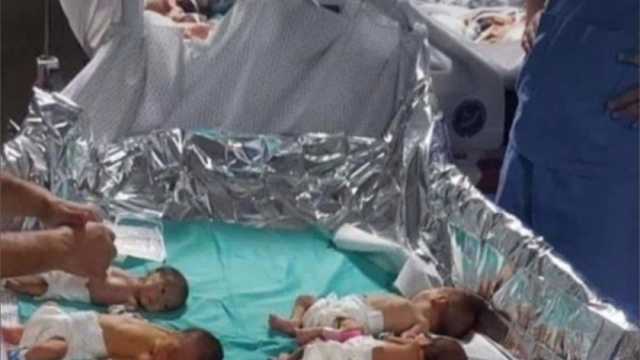 مدير مستشفى الشفاء بغزة: استشهاد 3 أطفال حديثي الولادة بسبب انقطاع الكهرباء