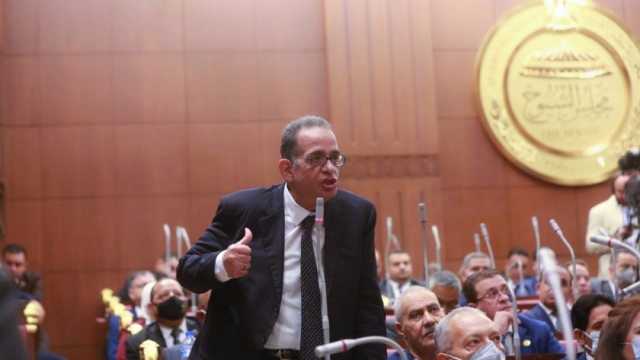 عضو بـ«الشيوخ»: قدرات الجيش المصري لا يتخيلها أحد لو تعرض أمننا القومي للخطر
